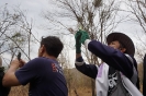 BigCleaning_78
